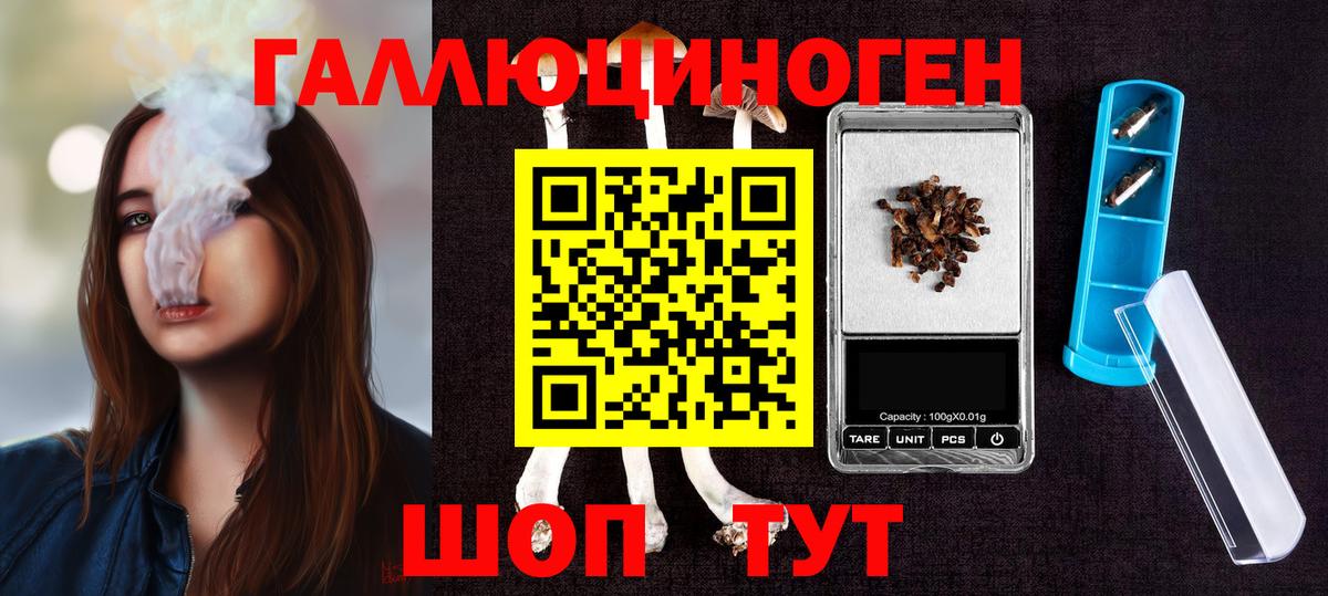 Галлюциногенные грибы Psilocybine cubensis Спасск-Дальний