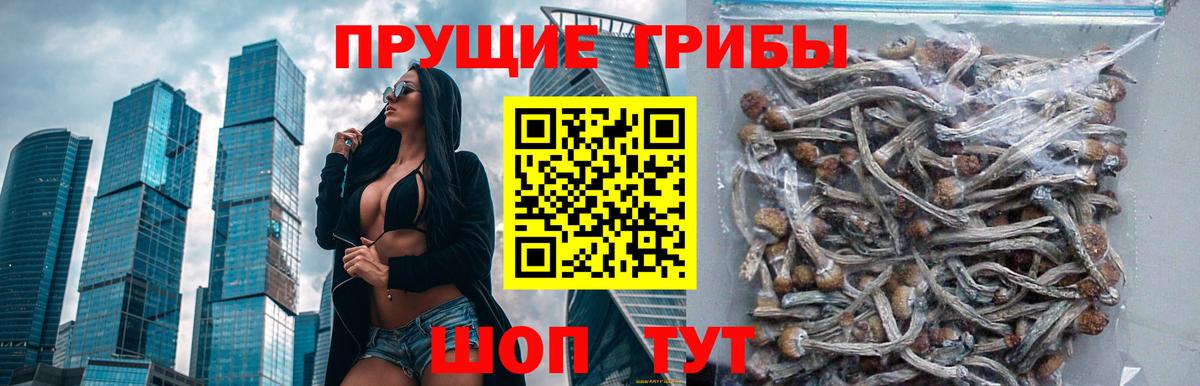 Псилоцибиновые грибы GOLDEN TEACHER  Вход с VPN  что такое наркотик  Спасск-Дальний 